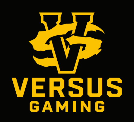 VS Gaming